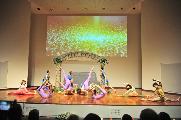 International Day of Yoga - IDY - 2015 - Lisboa