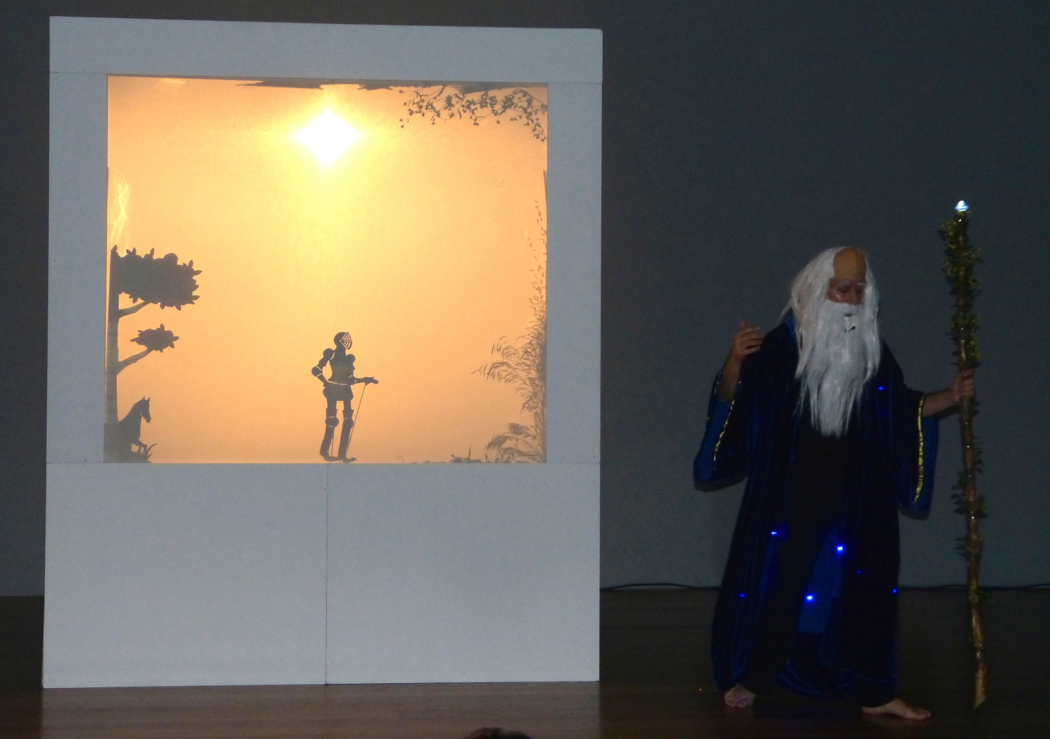 International Day of Yoga - IDY - 2014 - Cascais